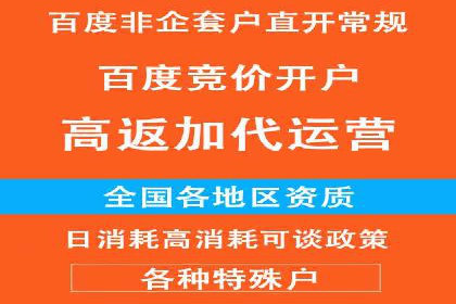 企业SEM服务实战案例解析